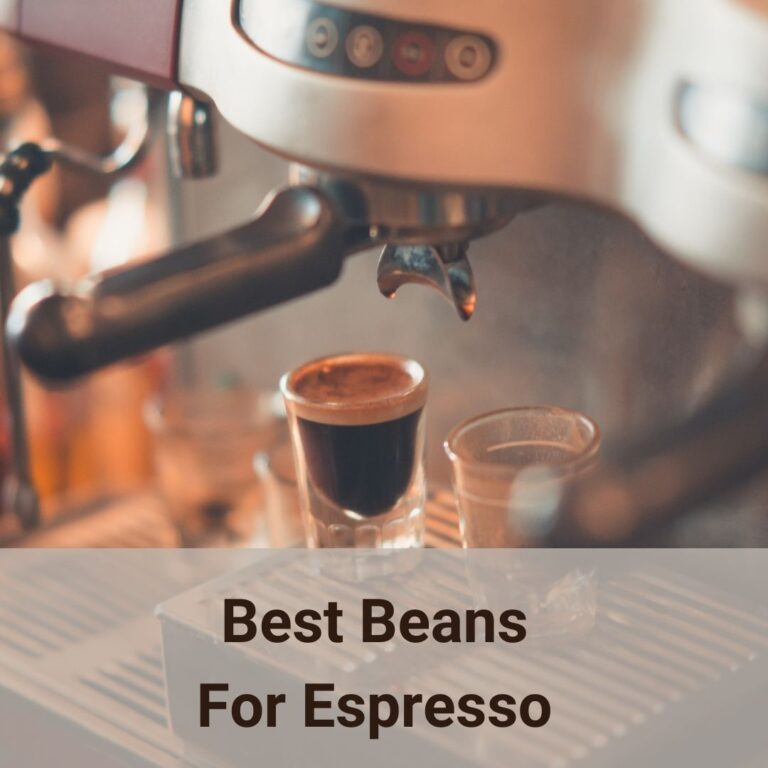 This picture shows a commercial coffee machine is making an espresso shot. What kind of coffee beans are the best beans for espresso? Let us have a good look.