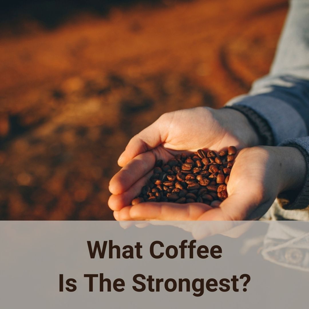 What Coffee Is The Strongest Exploring The World’s 5 Most Potent