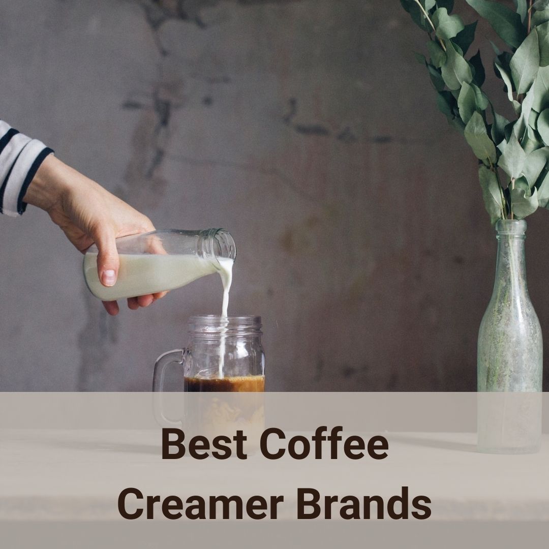 11 Best Coffee Creamer Brands For A Perfect Cup Of Joe