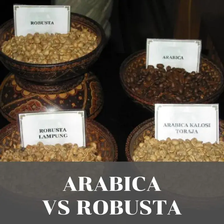 The Verdict: Arabica vs Robusta, A Draw of Deliciousness