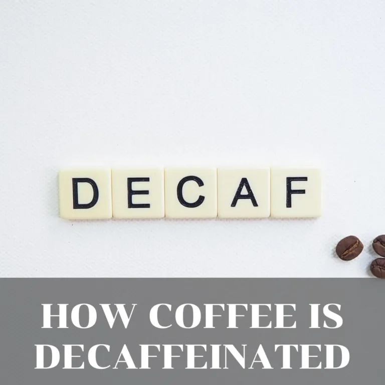 Discover the Mystery of Decaffeinating Coffee: How Coffee Is Decaffeinated?